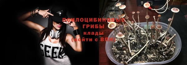 спайс Алексеевка