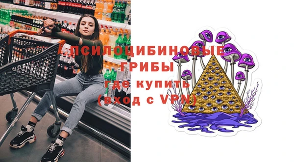 spice Алексин