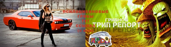 спайс Алексеевка