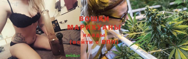 spice Алексин